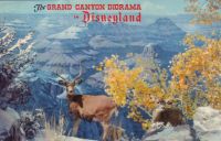 thumbnail_disneyland-grand-canyon-postcard-NT0253.jpg